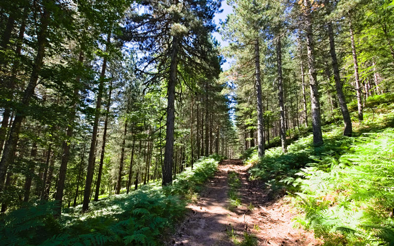 CALABRIA VERACE - TOUR + SOGGIORNO